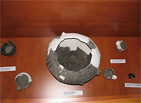 Expozitie arheologica Urseni 2009